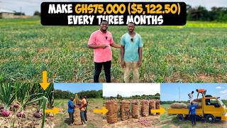 How To Make GHS75,000($5,122.50) Every Three Months From Just an Acre of Onion Farm in Ghana #onion