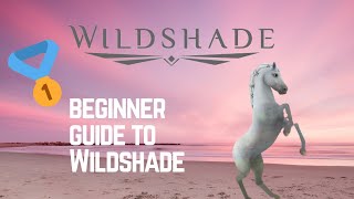 ✨ Beginners guide to Wildshade ✨ #wildshade #edit #racing