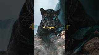 10 Most Powerful Wild Cats on Earth | #shorts #lion #cat #wild #viral