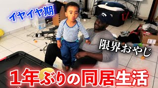 引越し直後で疲れ切った夫婦と魔の２歳児の平日の夜VLOG【アメリカ生活・国際結婚・バイリンガル】