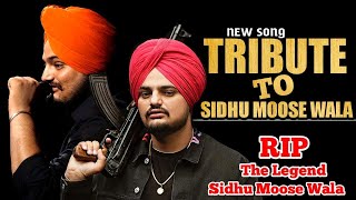 THE BEST TRIBUTE TO SIDHU MOOSE WALA SO FAR ON YOUTUBE | 295 recreation | Legends Never Die | Shaami