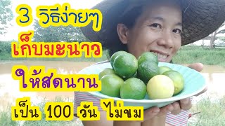 3วิธีเก็บถนอมมะนาวให้สดใหม่ไม่ขมนานถึง100วัน(ได้ผลดีต้องบอกต่อ!)