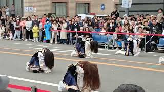 Suwon Hwaseong King Jeongjo's Royal Tomb Procession 수원 화성 정조대왕능행차