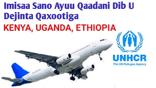 Imisaa Sano Ayuu Qaadani Dib U Dejinta (Buufiska) Qaxootiga Kenya, Uganda, Ethiopia, South Africa