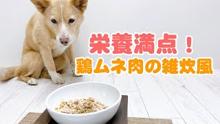 【簡単手作り犬ご飯】栄養満点！鶏ムネ肉の雑炊風【帝塚山ハウンドカム】