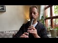 unboxing moeck rottenburgh alto recorder in grenadilla 4307