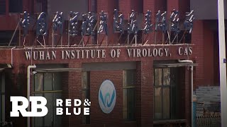 COVID-19 lab leak theory deemed "plausible' by experts