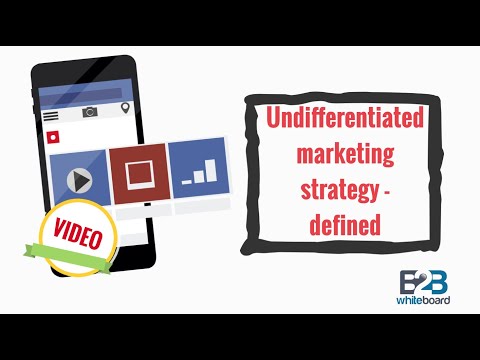 What is undifferentiated market?