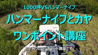 1000坪ジャングルを刈るその3