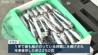 「節分においしいイワシを食べて」姫路市水産物卸協同組合が社会福祉施設にイワシ寄贈