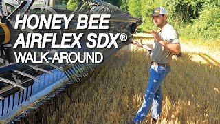 Honey Bee AirFLEX SDX | Walk-Around