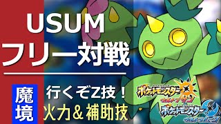 魔境と化したアローラのフリーバトルの地に我々は潜入を試みた【ポケモンUSUM】