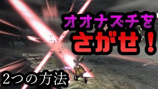 【MHXX解説】透明化したオオナズチを探す方法【役に立つか分もしれないシリーズ】