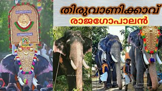 Thiruvanikkavu Rajagopal|തിരുവാണിക്കാവ് രാജഗോപാൽ|RS CREATIONS💕💕💕💕💕💕💕💕💝💝