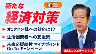 山口代表が解説！新たな経済対策【山口なつおチャンネル】