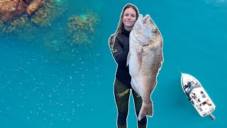20LB Snapper on an UNREAL Day Spearfishing in NZ