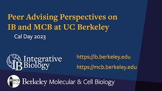 IB/MCB Peer Perspectives