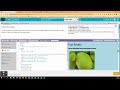 Lesson 11: Styling Elements with CSS: Bubble #7