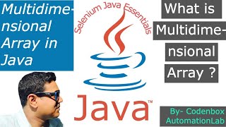 Java Arrays-Part2: What is Multidimensional Array in Java? 2D Array with example?