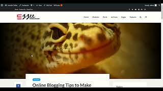 Gridlove Wordpress Theme Customization
