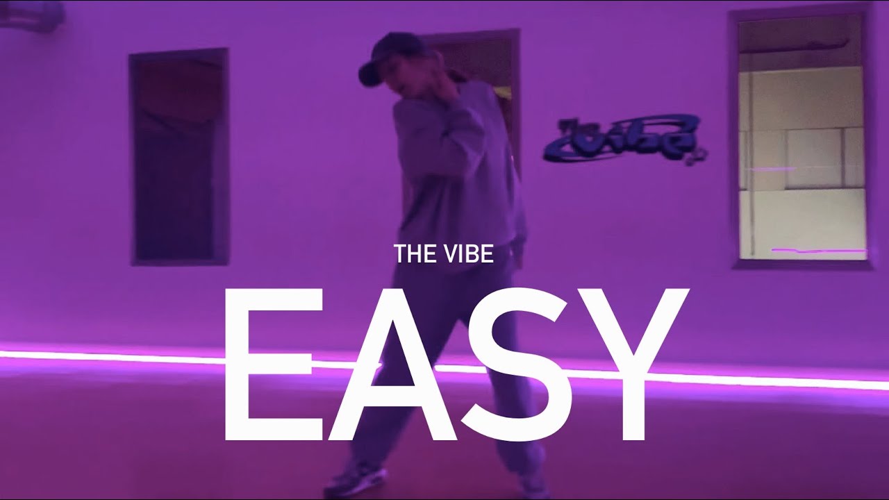 DaniLeigh - Easy Ft. Chris Brown (Remix) | Sara Choreography | THE VIBE ...