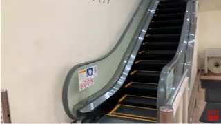 【フジテック】1X エスカレーター　ニトリ成増店 1X escalator Nitori Narimasu Tokyo Japan