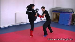 Wushu Sanda  散打 (散手 Sanshou)