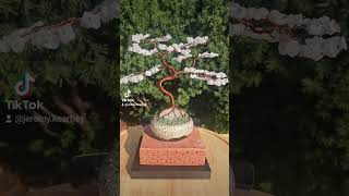 Moonstone leaves with quartz in the roots appreciation tree #appreciationtree #bonsai #gemstones