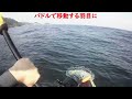 【トラブル複数発生】観音崎でホウボウとショゴ