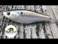 How to paint a realistic shad