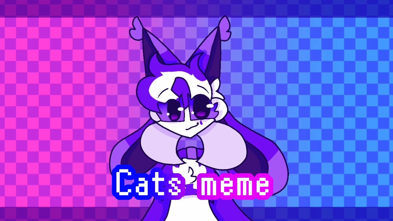 Cats Meme Gift For Kittydogcrystal Youtube