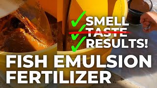 First Time Using Fish Emulsion Fertilizer--Reaction \u0026 Results!