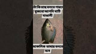 এটা কি মাছ বলতে পারলে বুজবো আপনি খাঁটি বাঙ্গালী আপনার আঞ্চলিক ভাষায় বলতে হবে #songsforkids