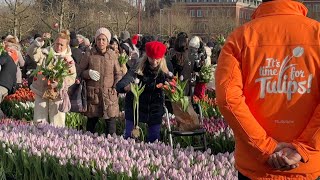 National Tulip Day Amsterdam 2024