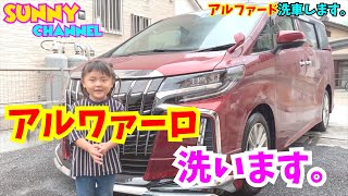 【アルファード】洗車しました。元気に楽しくアワ雪で兄弟洗車🚗　赤  alphard  トヨタ　30系