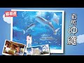 縱橫遊 暑假旅遊推介 2011