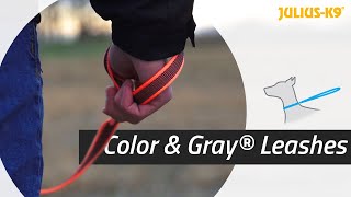 Color & Gray® leashes