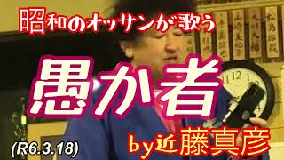 愚か者by近藤真彦、スター誕生への道！柔道、毛呂道場(R6.3.18)