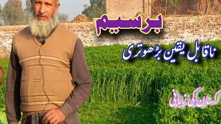 Berseem Ki kheti Kesy kry/How to grow Berseem/Berseem/برسیم کی کاشت