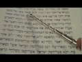 haftorah haftarah reading parashat metzora rabbi weisblum הפטרה לפרשת מצורע הרב ויסבלום