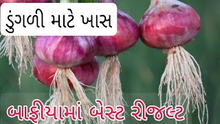 ડુંગળી |બાફીયા માં 100% રીજલ્ટ | organic kheti |onion |ડુંગળી ની ખેતી ની માહિતી |