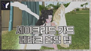 세가 입문자 필독 : 페타크 홀딩 팁