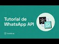 Qué es WhatsApp API y cómo enviar mensajes masivos | Tutorial para empresas