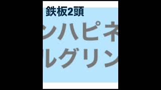 2頭的中　ウインター争覇　4歳以上オープン　笠松競馬　2022年2月10日　地方競馬　競馬予想