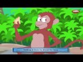 Monkeys Justice Story | Grandma English Stories | Stories For Kids | Stories For Children HD