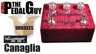 ThePedalGuy Unboxes the Lollygagger FX Canaglia Overdrive Pedal