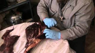 Btuchering a Deer Pt.3 Boning and Grinding (Graphic Content)