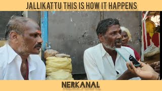 SECRETS of Alanganallur Jallikattu | This is how Jallikattu Happens | Process explained | NERKANAL