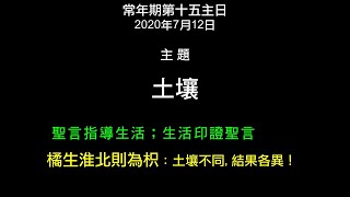 20200712 常年期第十五主日 (彌撒講道 - 徐錦堯神父)