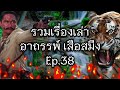 รวมเรื่องเล่า อาถรรพ์ เสือสมิง ep.38